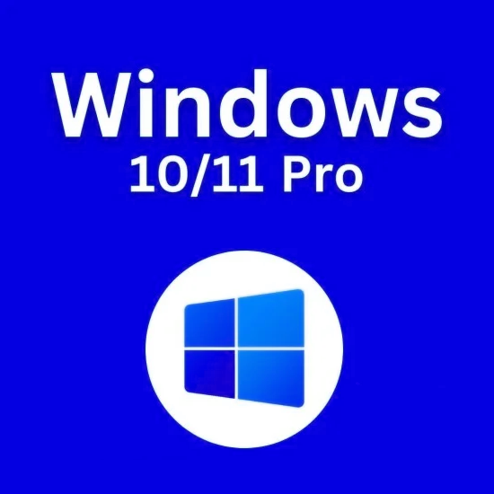 Windows 10/11 pro